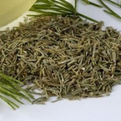 PRESLICA HERBA