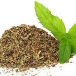 MENTA (METVICA) HERBA