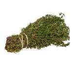 TIMIJAN HERBA